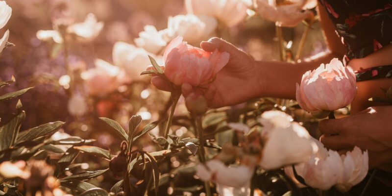 Health and Wellbeing - photo by Sabine Fischer