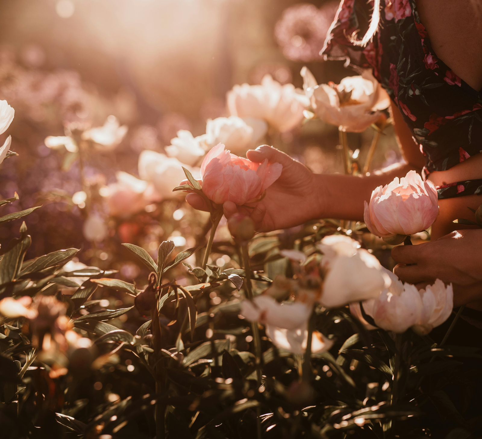 Wellbeing - photo credit Sabine Fischer