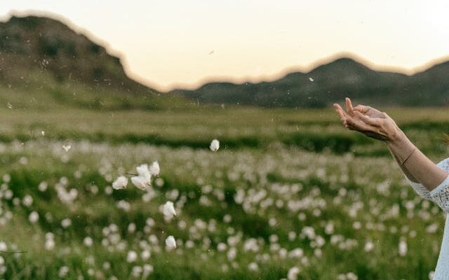 Sustainable Wellness - photo by Kamil from Pexels.com